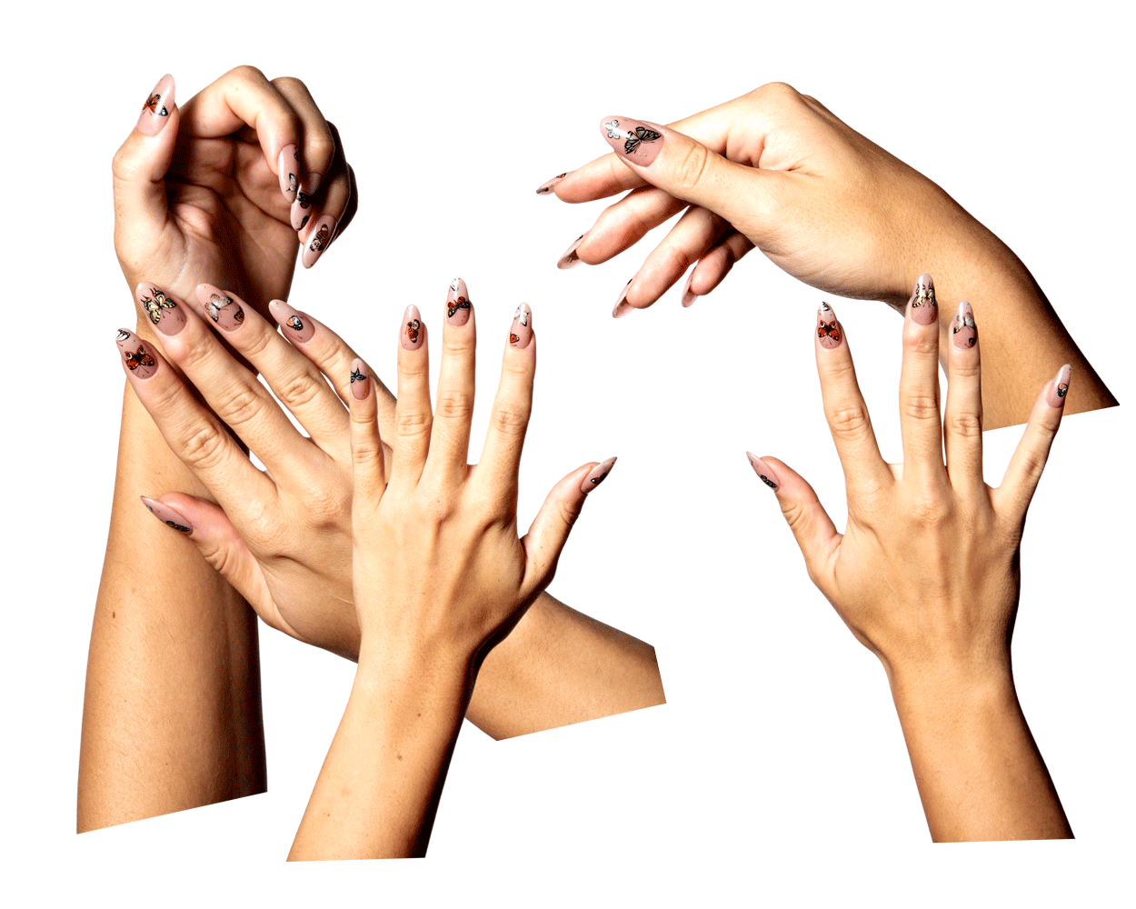 gif of various cutouts of nail artist Tahvya Krok’s hands