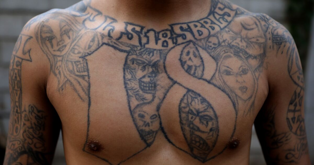 Former MS-13 gang members swept up in El Salvador crackdown - Los Angeles Times