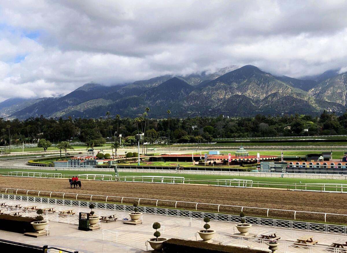 Horses and riders are on the track at Santa Anita Park 