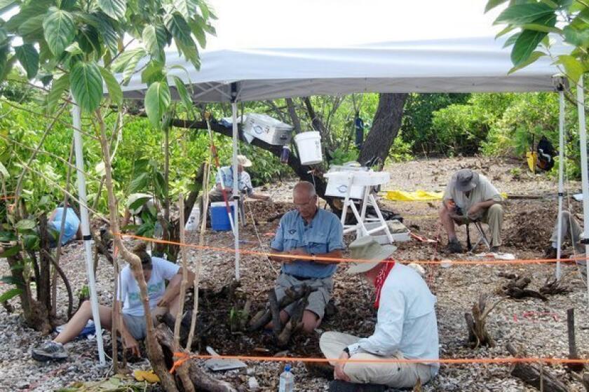Researchers work on the island of Nikumaroro in the South Pacific on a 2010 mission seeking clues to the disappearance of famed aviator Amelia Earhart.