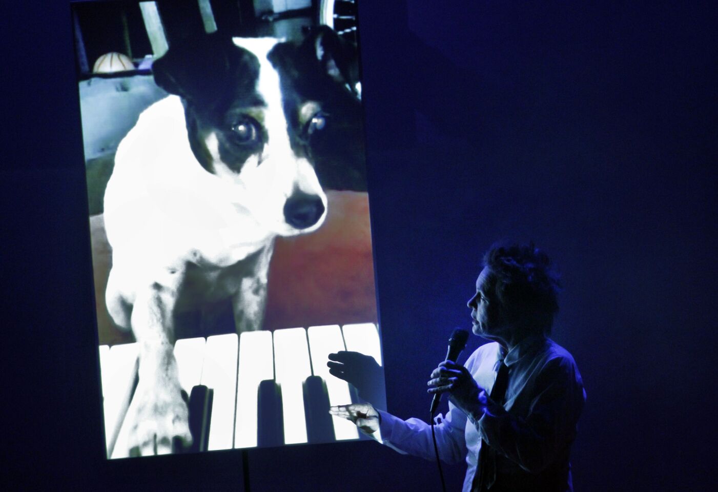 A segment with video of her dog in Laurie Anderson's latest work, "Dirtday!"More: Performance review: A down-to-Earth 'Dirtday!'