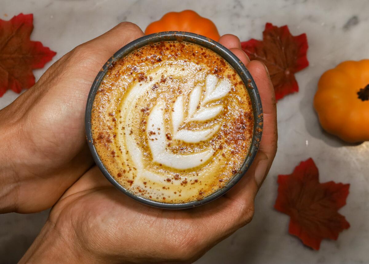 Two hands cup a pumpkin spice latte over marble scattered with red leaves and mini pumpkins.