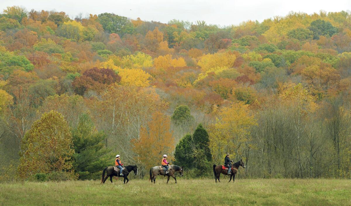 Christie Froehlich, right, owner and guide at Froehlich's Horse Trail Rides, leads two horse riders by the colorful leaves of the Hoosier National Forest in this undated photo in Cannelton, Ind. The U.S. Forest Service is pushing ahead with plans to log or conduct controlled burns in parts of the Hoosier National Forest despite concerns the project could taint the drinking water supply used by more than 100,000 people.(Matt Kryger/The Indianapolis Star via AP)