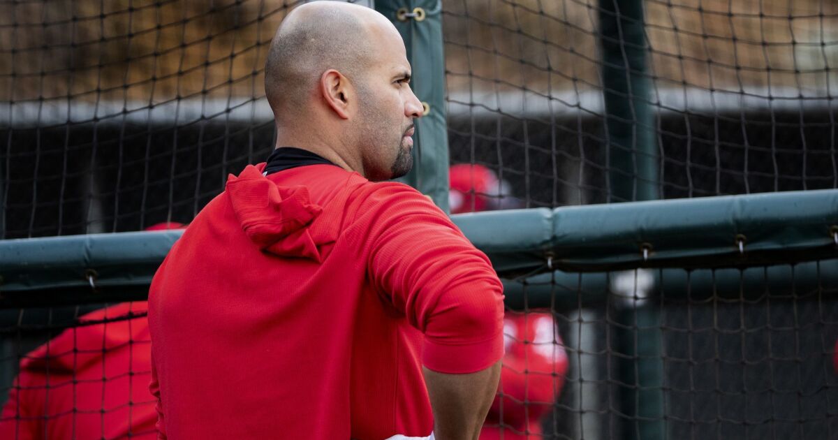 Albert Pujols spurns Cardinals, signs 10-year, $254M deal with Los Angeles  Angels – New York Daily News