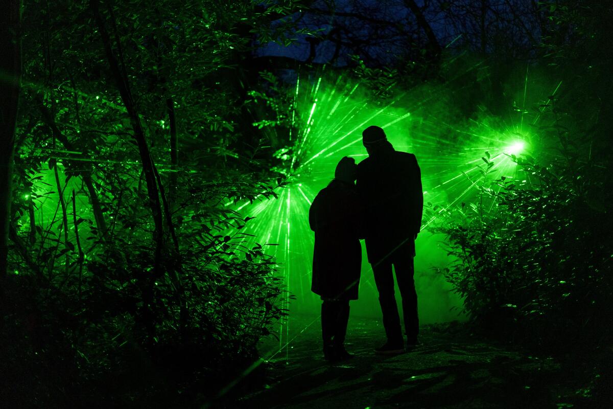 A laser garden in Lightscape, arriving Nov. 18 at San Diego Botanic Garden.