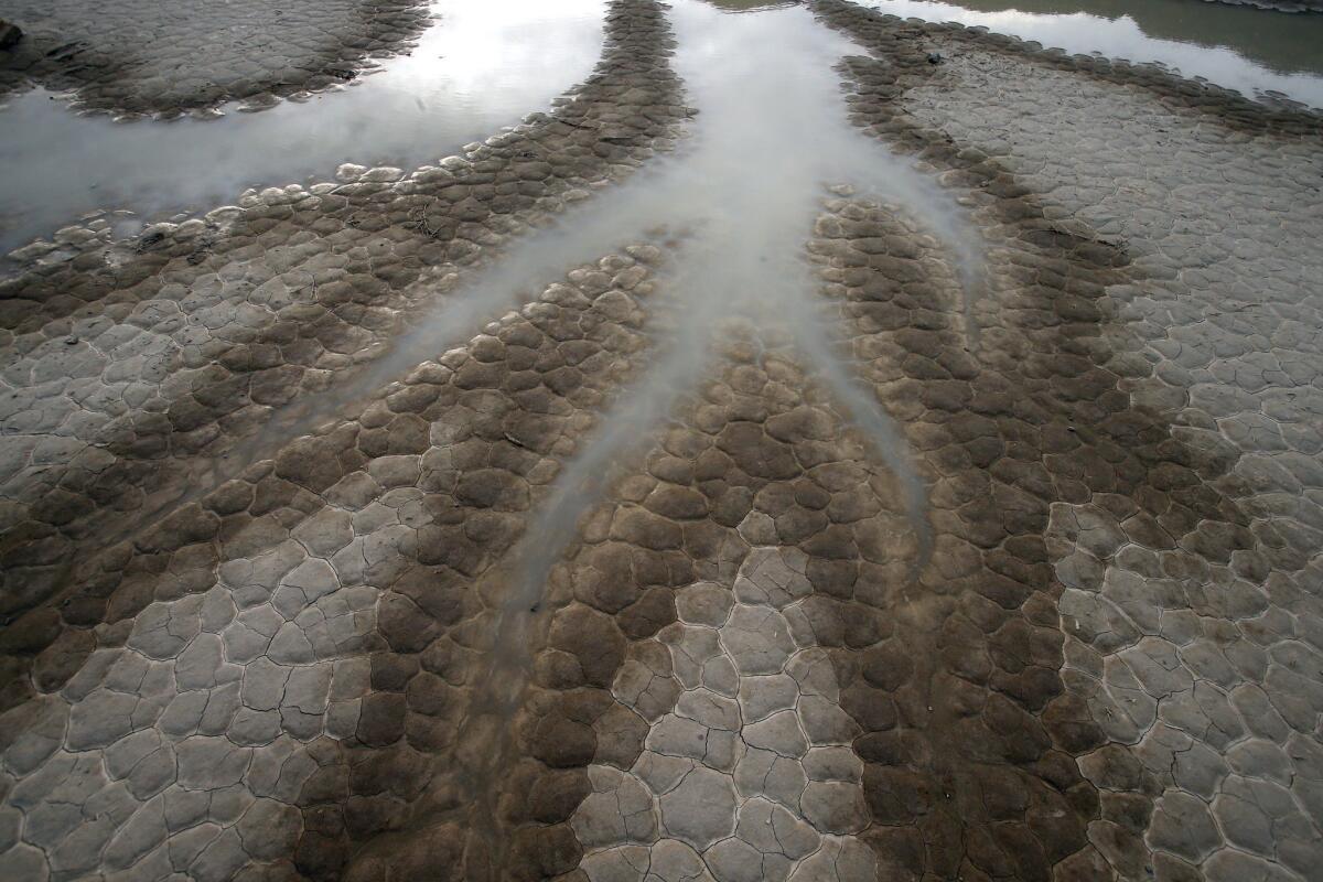 Standing water on the edge of the Racetrack.