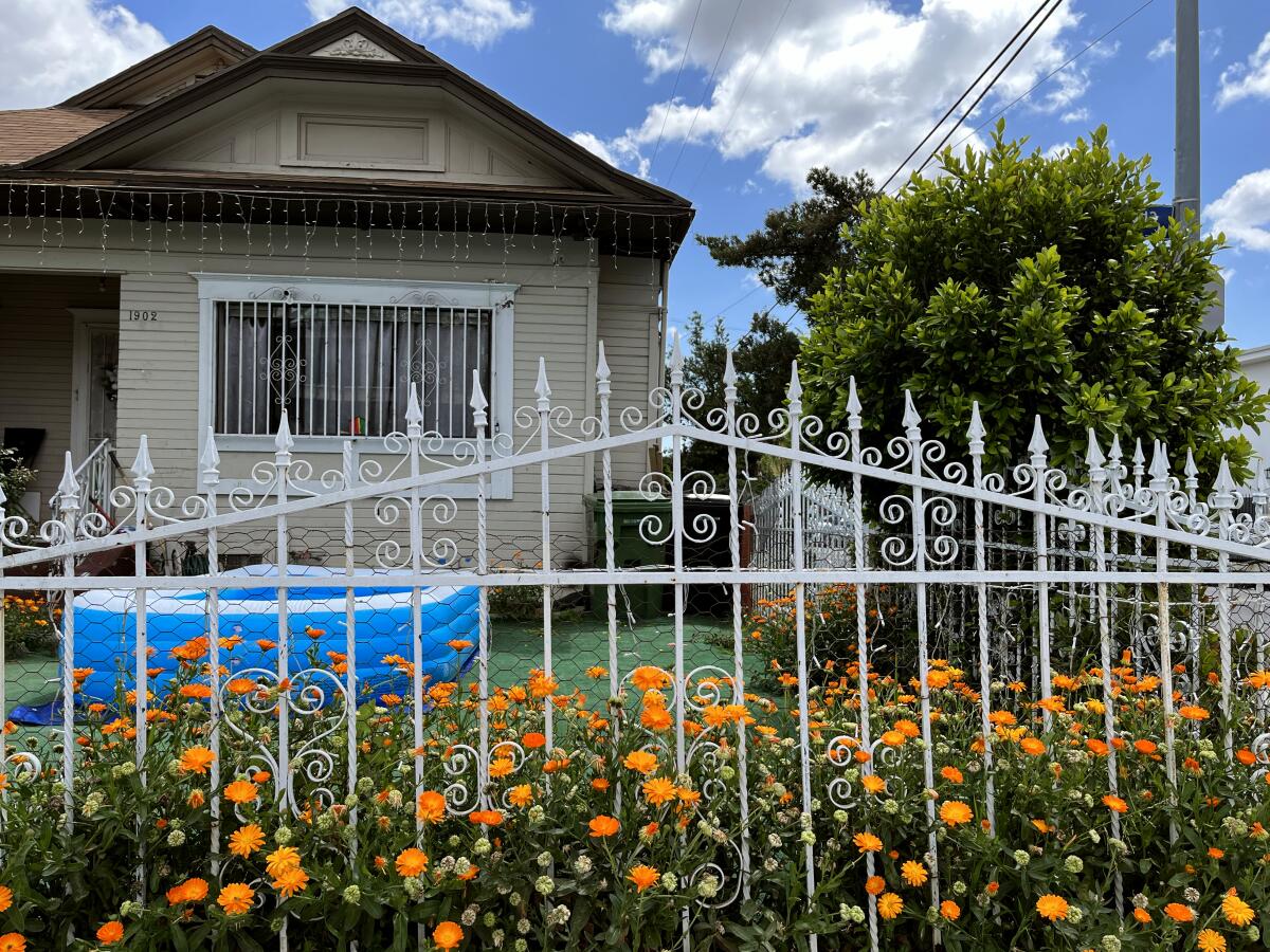 Marigolds line a white wrought-iron fence in front of a house.