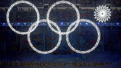 2014 Sochi Olympic Games