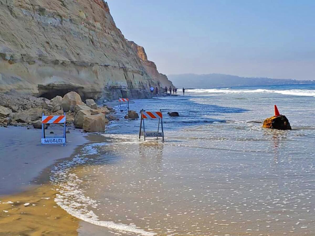This photo was taken in August 2019 after a bluff collapse at Torrey Pines State Beach.