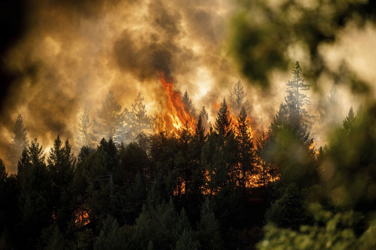 The Mosquito Fire burns along a ridgetop in unincorporated Placer County
