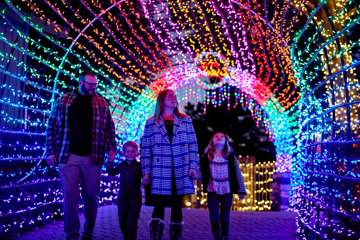 A man and woman with two young children walk through a tunnel of colored lights