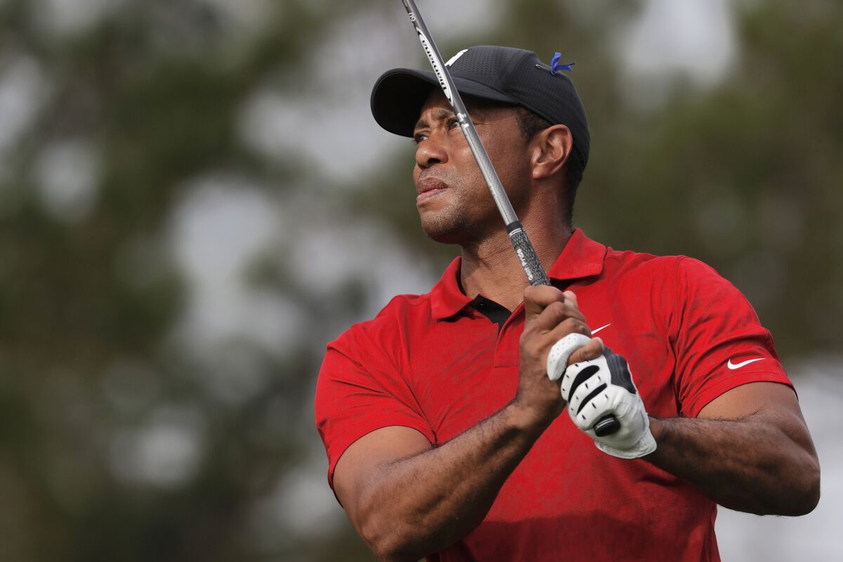 Tiger Woods holds a golf club.