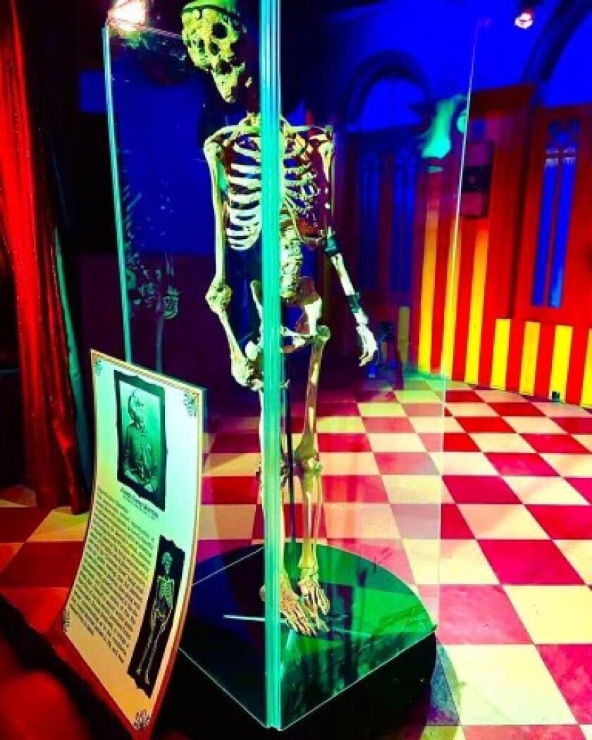 A skeleton on display at the CIA.