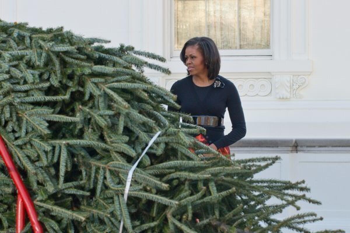 US First Lady Michelle Obama looks on as the White House Christmas tree arrives in Washington.
