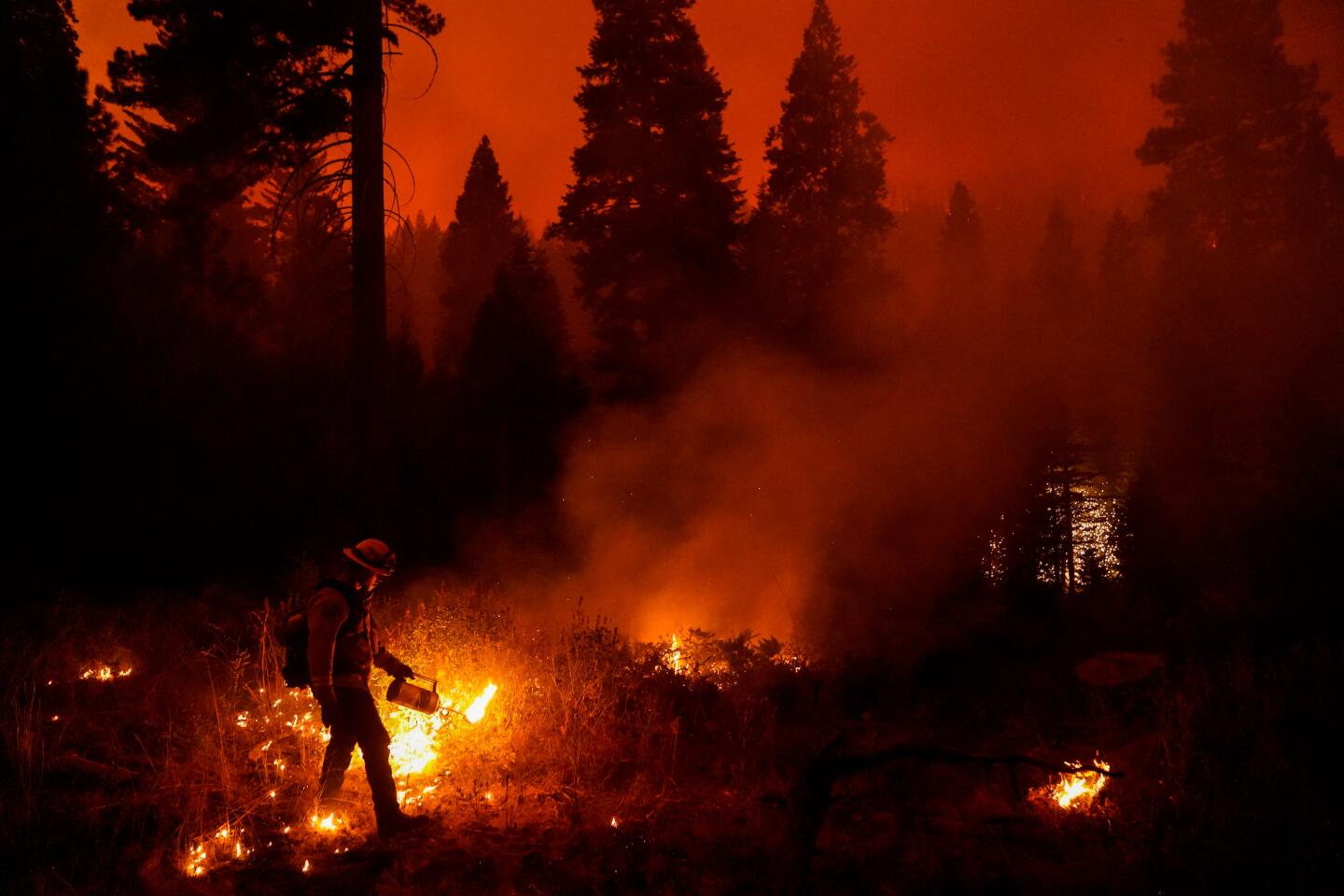 A firefighter sets a small fire amid a wildfire