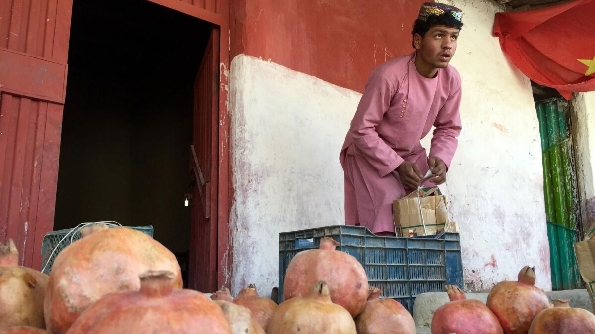 Mohammad Tayyeb, 15, sells pomegranates outside a camp for Afghans displaced by the war in Kabul.