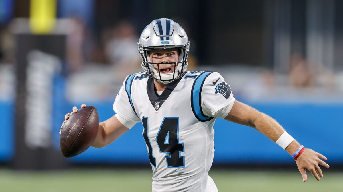 Carolina Panthers quarterback Sam Darnold looks to pass in a preseason game against the Pittsburgh Steelers.