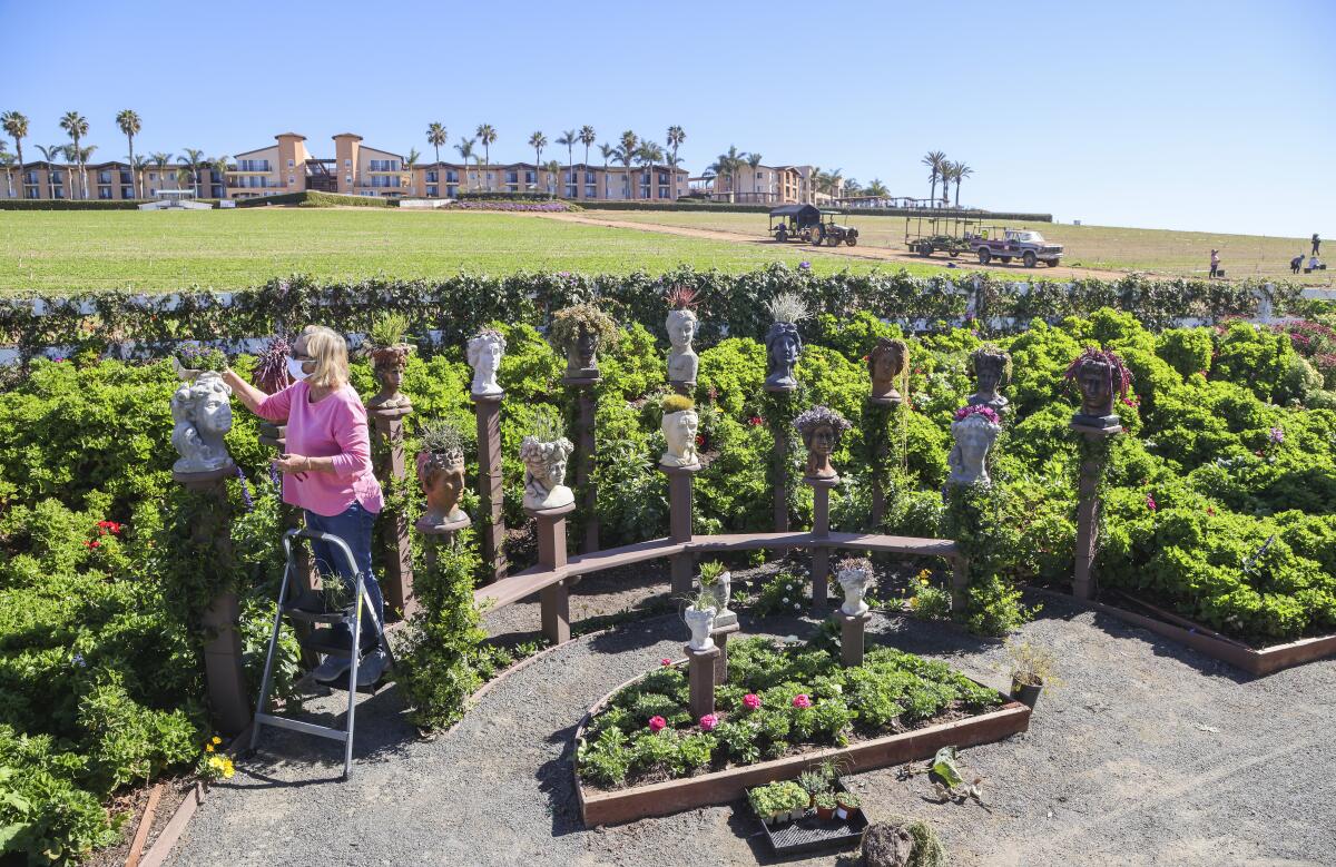 Master gardener Judy MacKenzie works in the Pot Head Garden area at the Flower Fields in Carlsbad on Wednesday.  