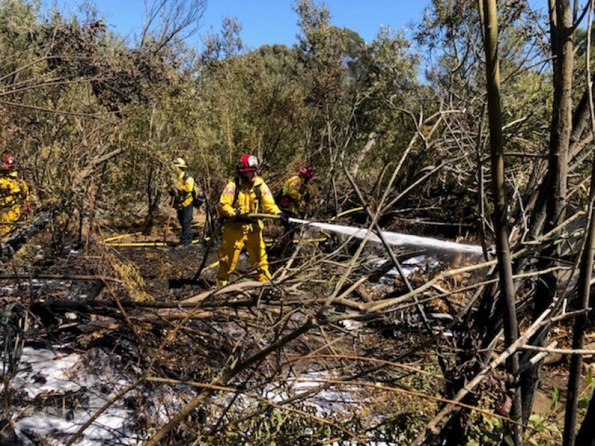 A small brush fire in Costa Mesa's Talbert Park