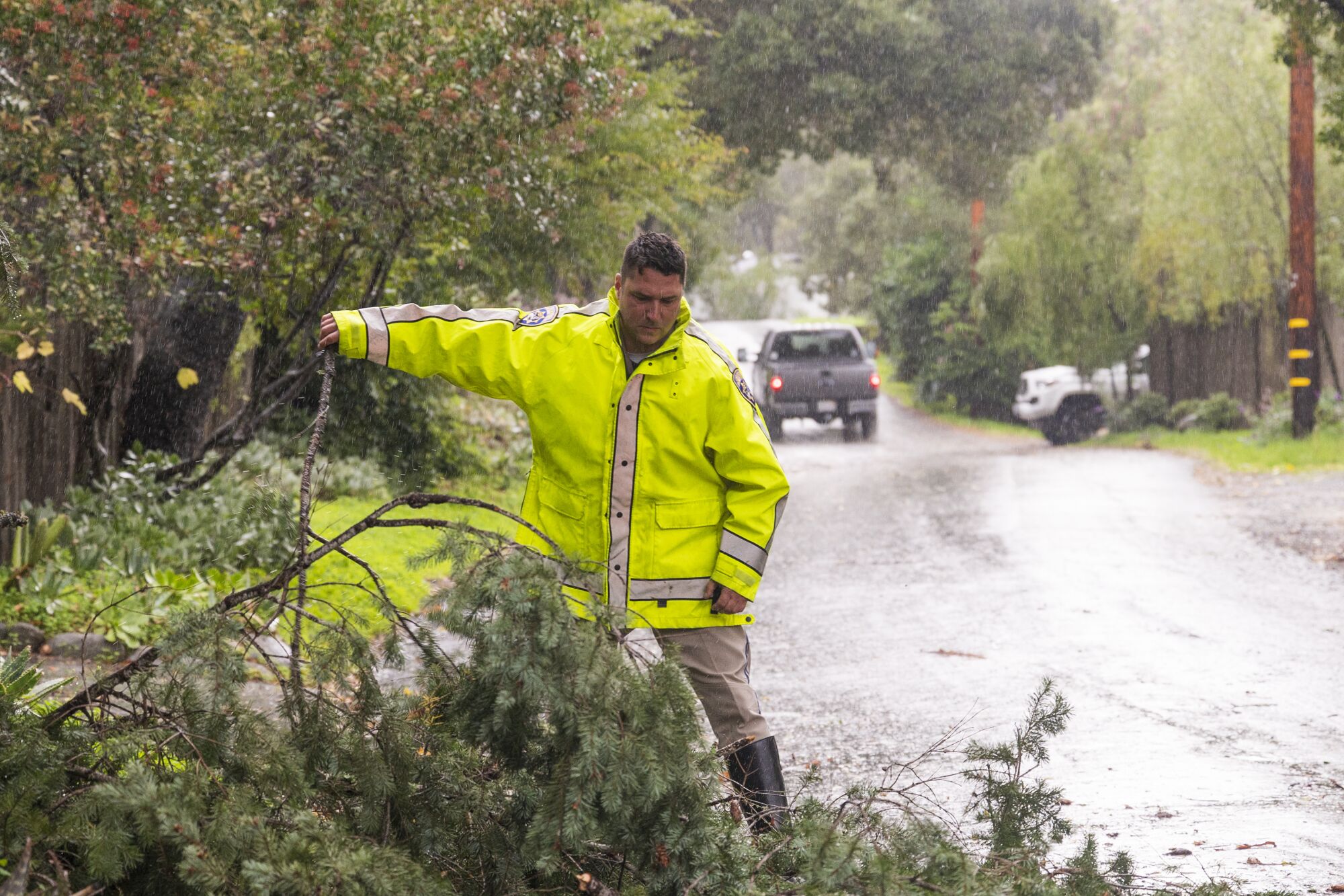 Police officer clears a downed tree blocking a road.