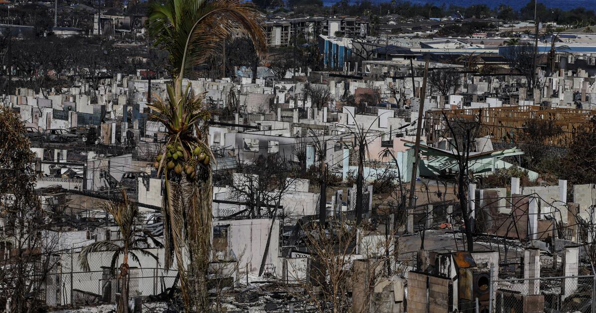 Fateful decision in Maui: Firefighters left the scene, blaze began its deadly march unchallenged Fateful decision in Maui: Firefighters left the scene, blaze began its deadly march unchallenged