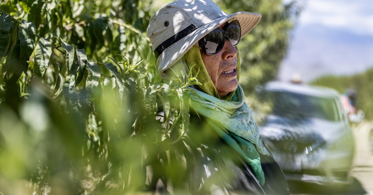 Lawmakers take ‘creative’ approach to enforcing heat safety rules for farmworkers