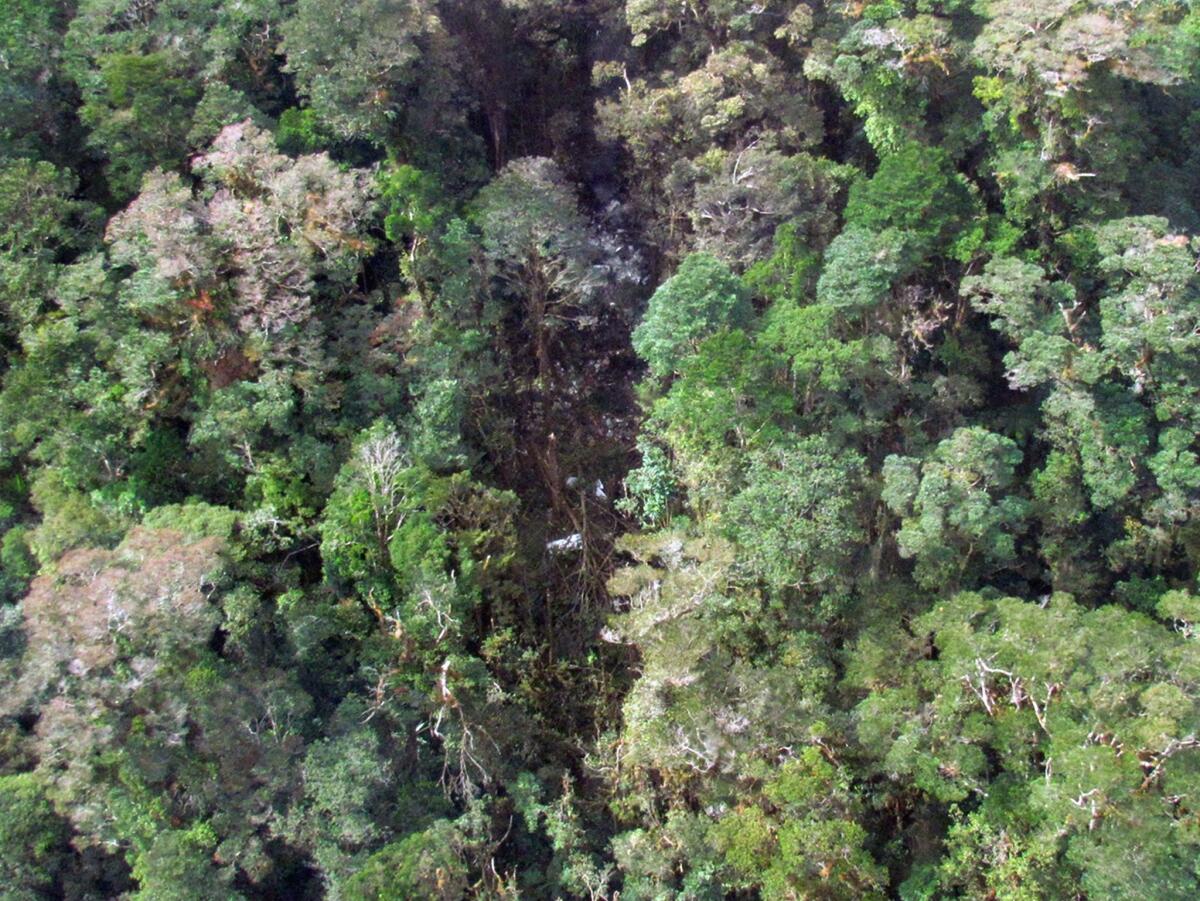 This handout aerial photo released by Indonesia's National Search and Rescue Agency on Aug. 17 shows the wreckage from a Trigana Air ATR 42-300 twin turboprop scattered among trees in the mountainous area of Oksibil district, in Papua province.