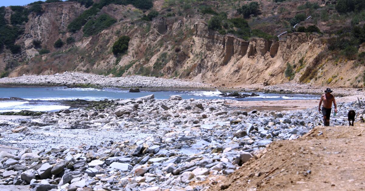 Rancho Palos Verdes landslide is creating a brand new seashore. ‘It is unreal’