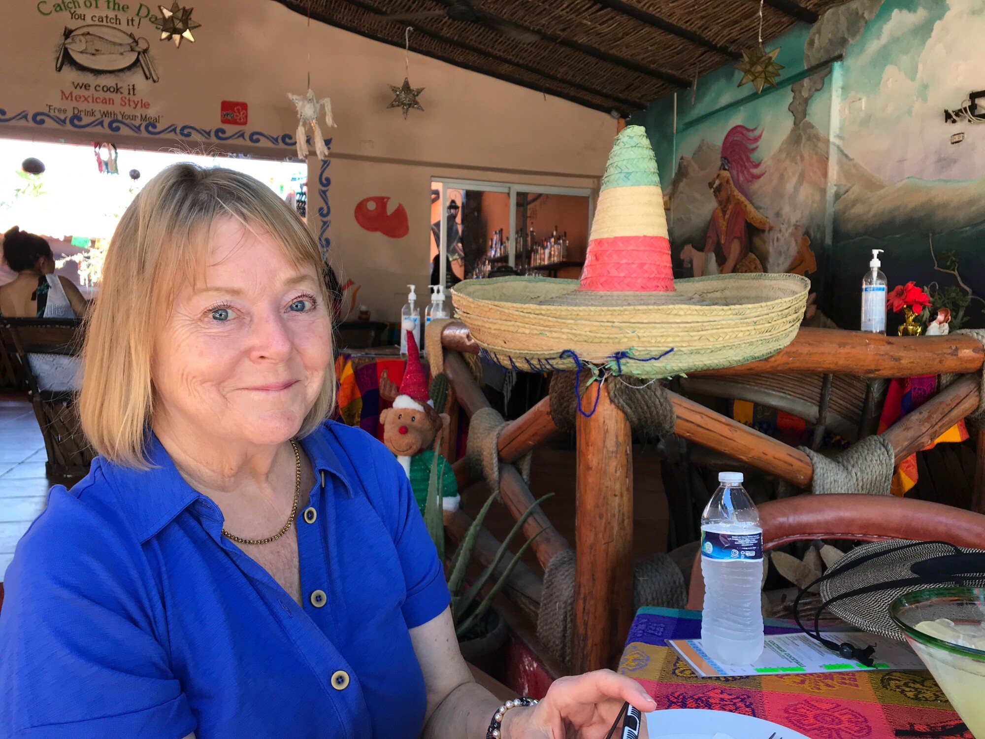 Sailing Through A COVID Surge: Cruise Passengers Share Tales - Los Angeles Times 5 Terry Williams visiting San Jose Del Cabo