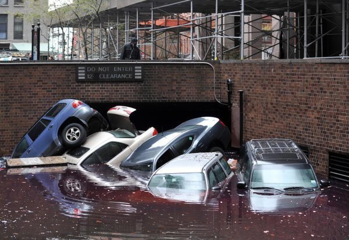 Super storm Sandy caused severe flooding in lower Manhattan. It also flooded the basement of an NYU laboratory, killing thousands of laboratory mice crucial for scientific research.