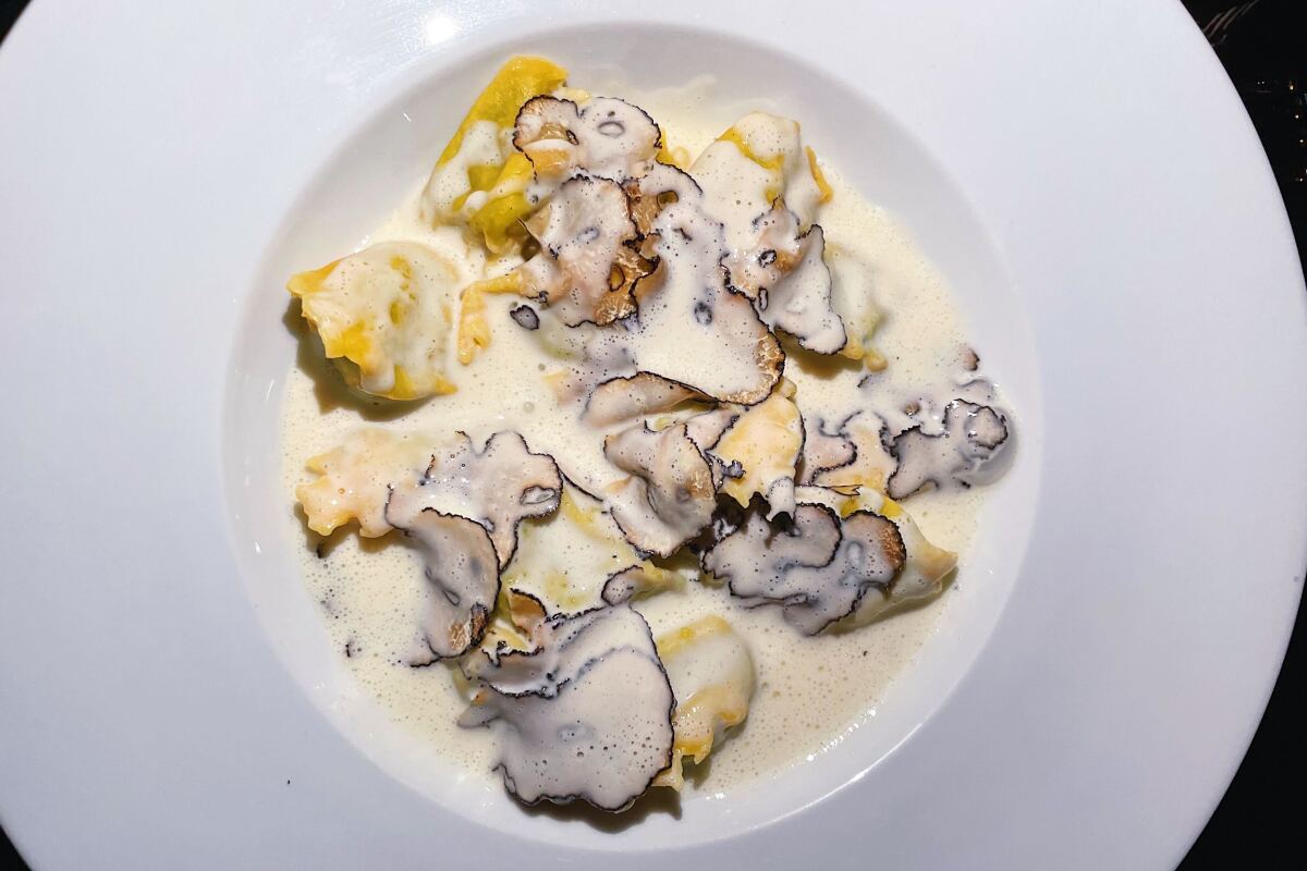 An overhead photo of a white bowl of truffle-topped ravioli del plin in white sauce