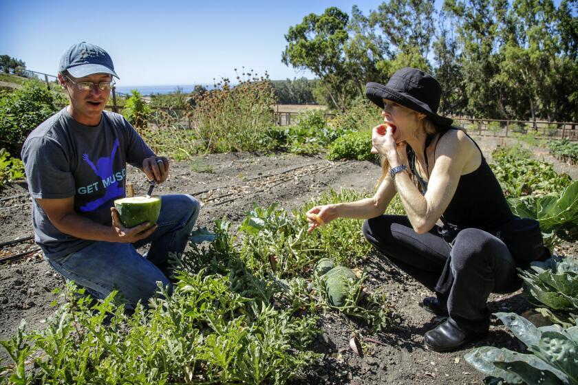 Garden consultant Paul Hudak and Suzy Amis Cameron sample a Moon and Stars watermelon in one of the mini farm's gardens overlooking the Pacific Ocean in the Santa Barbara area.