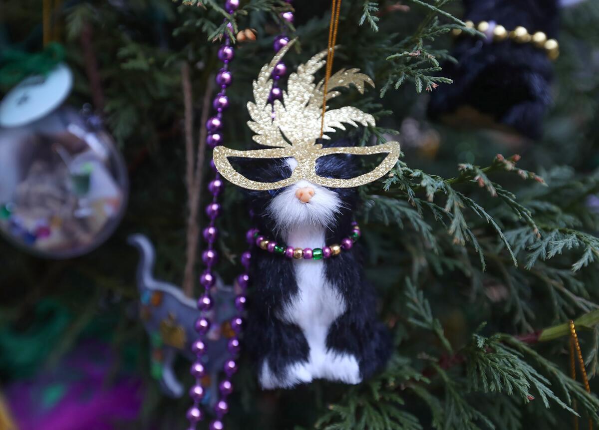 A whimsical cat ornament looks over the grounds, compliments of the Blue Bell Foundation for Cats tree.