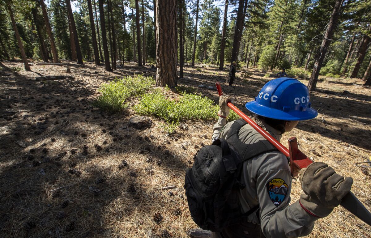 California Conservaton Corps in Lake Tahoe
