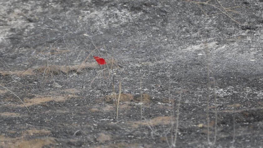 A red flag marks a spot along Alpine Boulevard near the West Willows Road off-ramp to Interstate 8, possibly where the West Fire started.