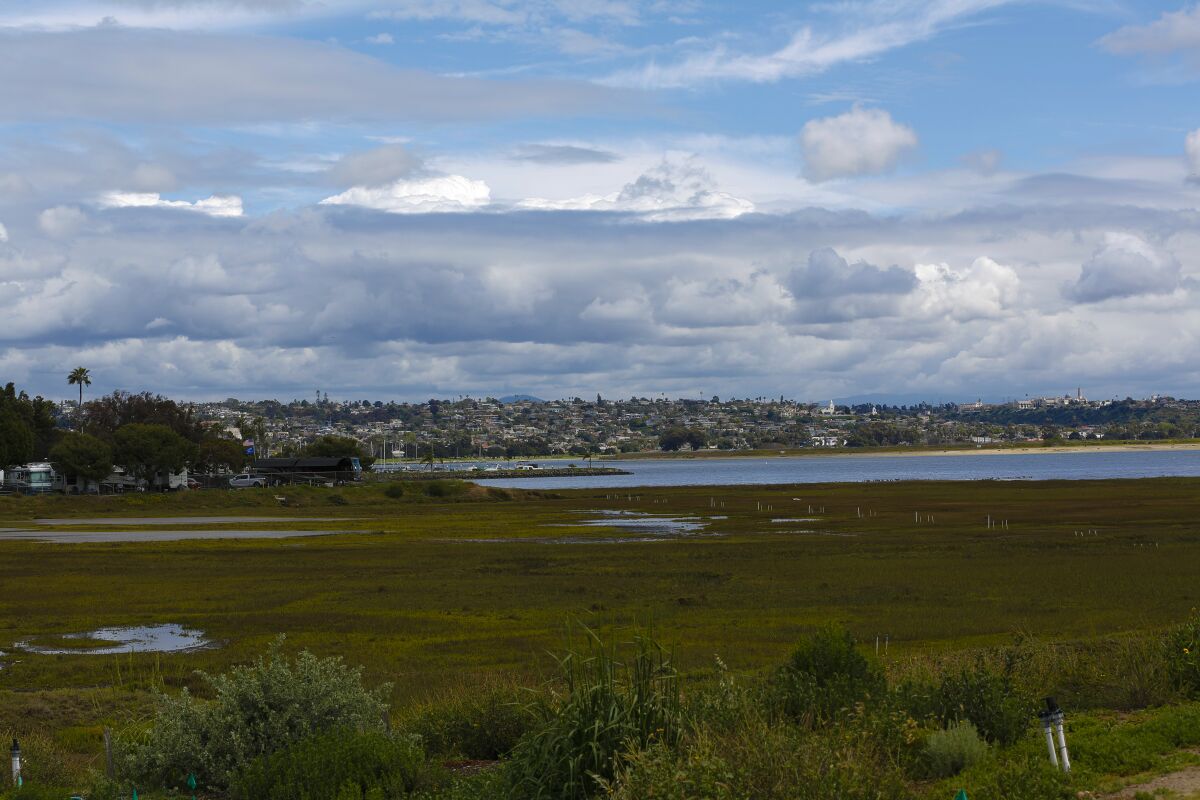 Kendall-Frost Mission Bay Marsh Reserve on the corner of Pacific Beach Drive and Crown Point Drive.
