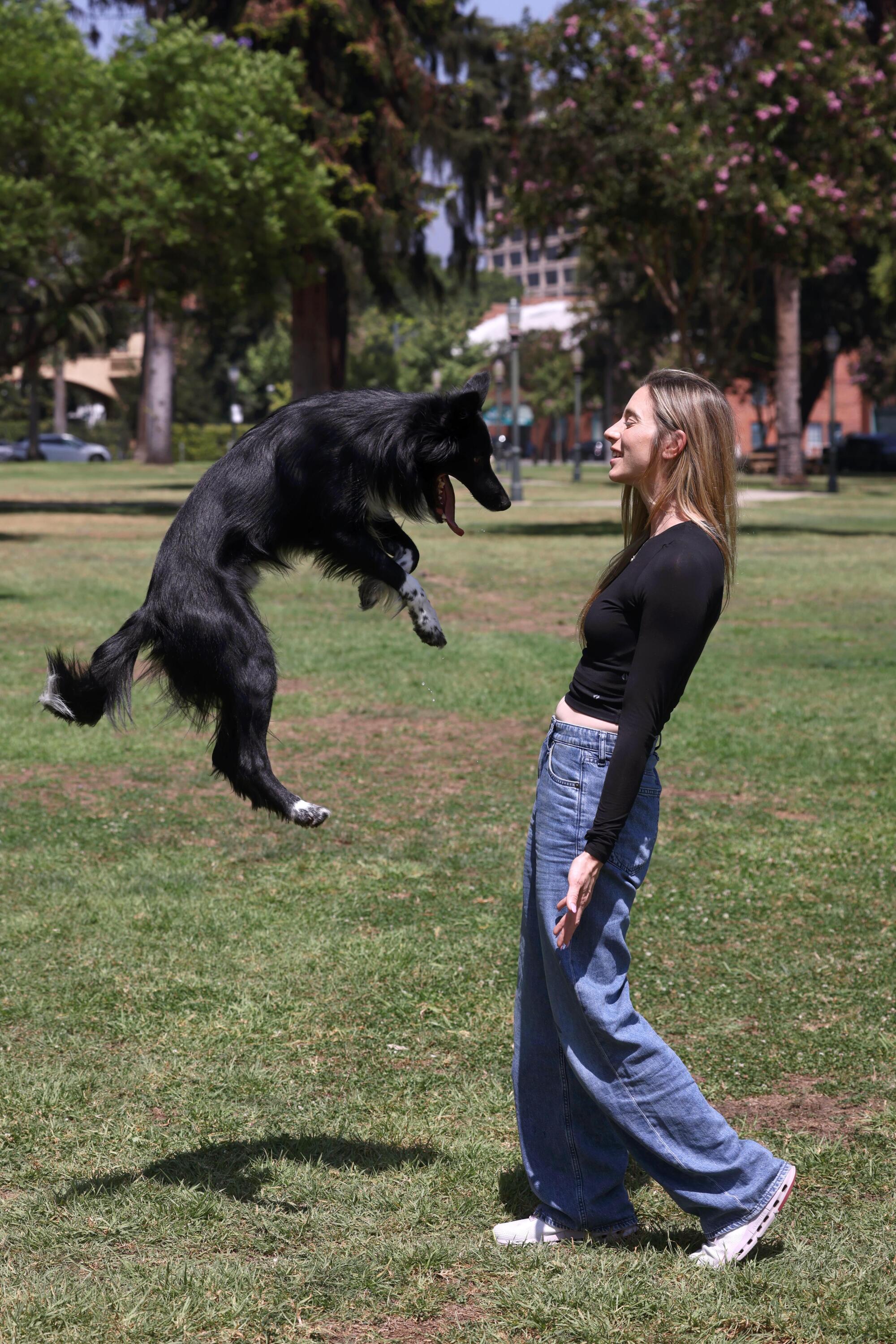 Perro negro saltando delante de una mujer