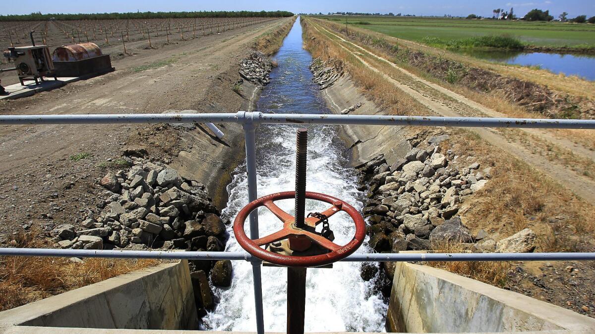A lateral canal flows off the Glenn-Colusa Canal near fields of rice and nut orchards near the city of Williams in the Sacramento Valley. President Trump criticized the state Tuesday for mismanaging its water resources.