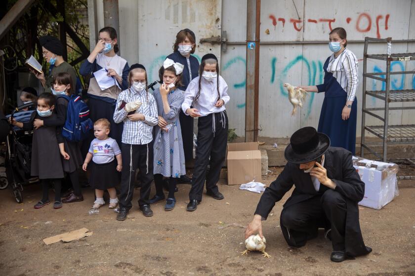 Ultra-Orthodox Jews, some wearing face masks during a nationwide three-week lockdown to curb the spread of the coronavirus, check the health of a chicken that will later be slaughtered as part of the Kaparot ritual, in Bnei Brak, Israel, Thursday, Sept 24, 2020. Observant Jews believe the ritual transfers one's sins from the past year into the chicken, and is performed before the Day of Atonement, Yom Kippur, the holiest day in the Jewish year which starts at sundown Sunday. (AP Photo/Oded Balilty)