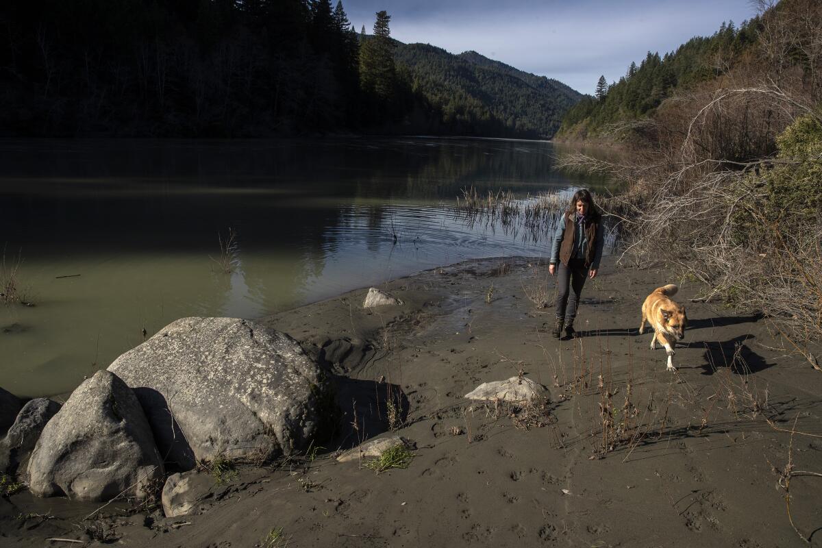 Jan 2022 photo of a woman and her dog walking along the Eel River in Humboldt County.