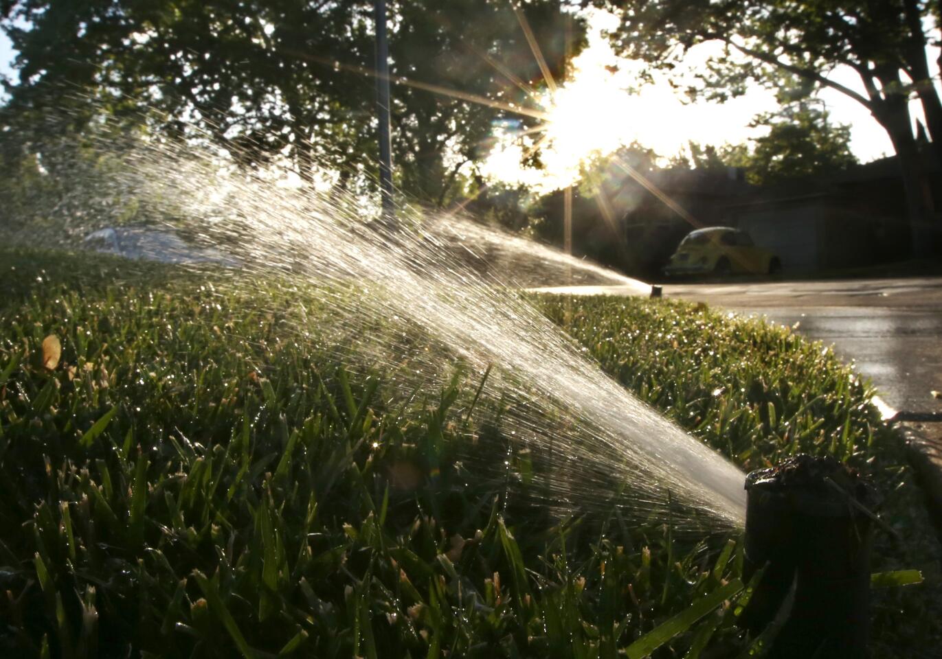 Sprinkler watch