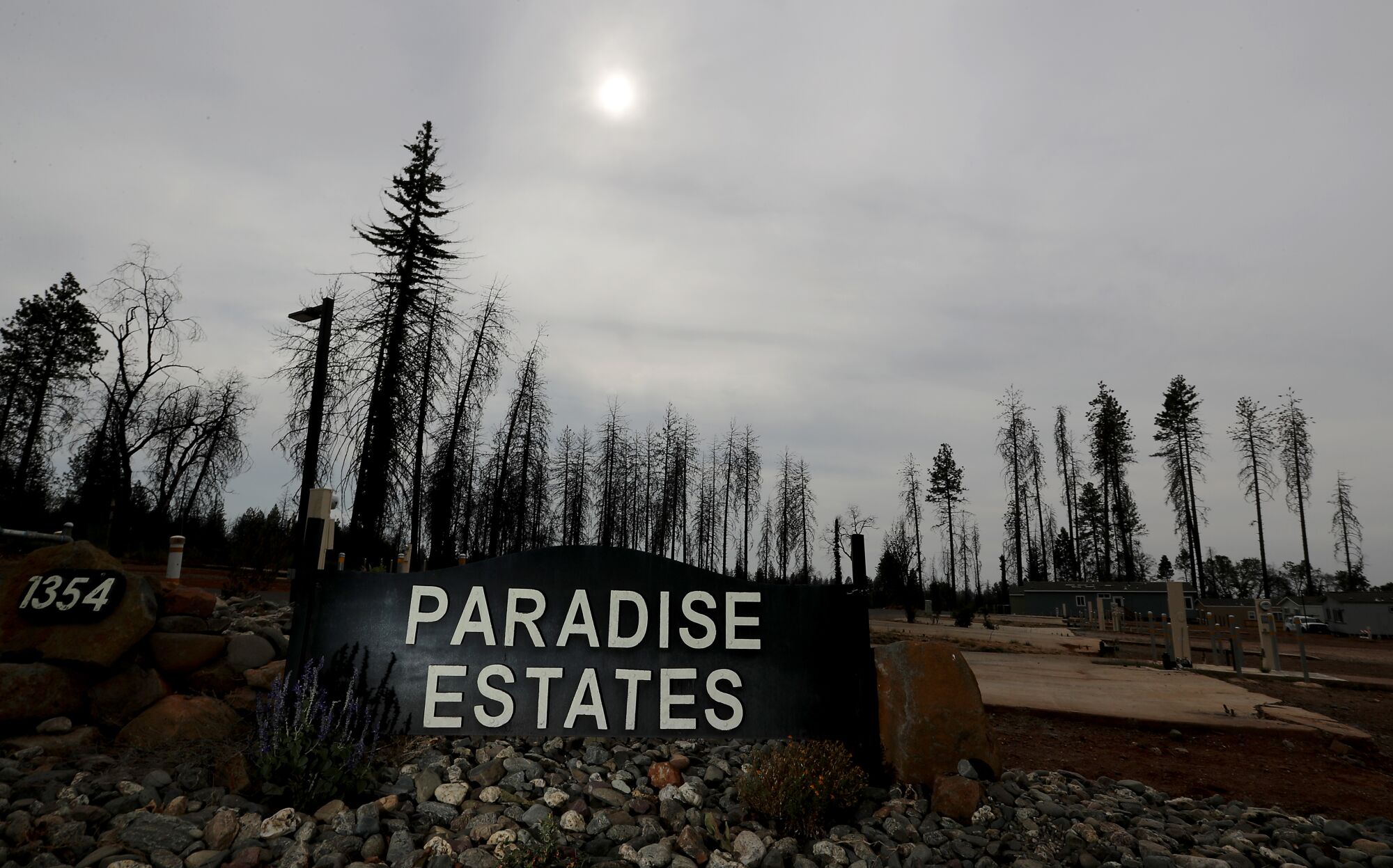 A new development in Paradise