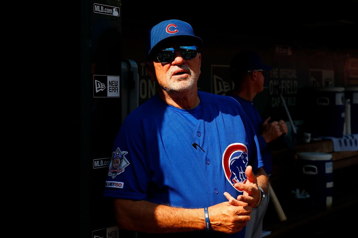 Will former Chicago Cubs manager Joe Maddon be the next manager of the Angels?