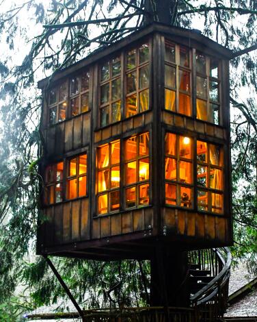 A treehouse with many windows and a winding stairway to access it