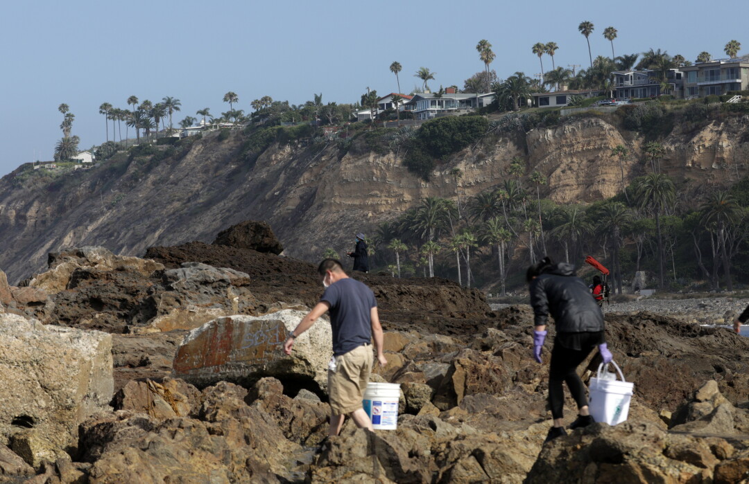 Palos Verdes Tide Chart