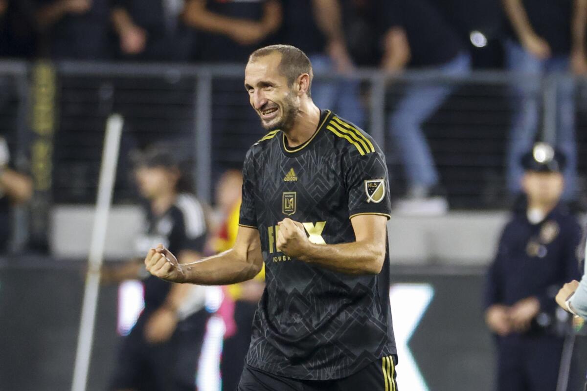 Los Angeles FC defender Giorgio Chiellini (14) celebrates after his team defeated the LA Galaxy.