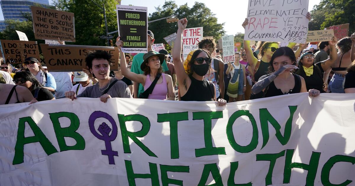 Column: The abortion pill is safe. Is your uterus?