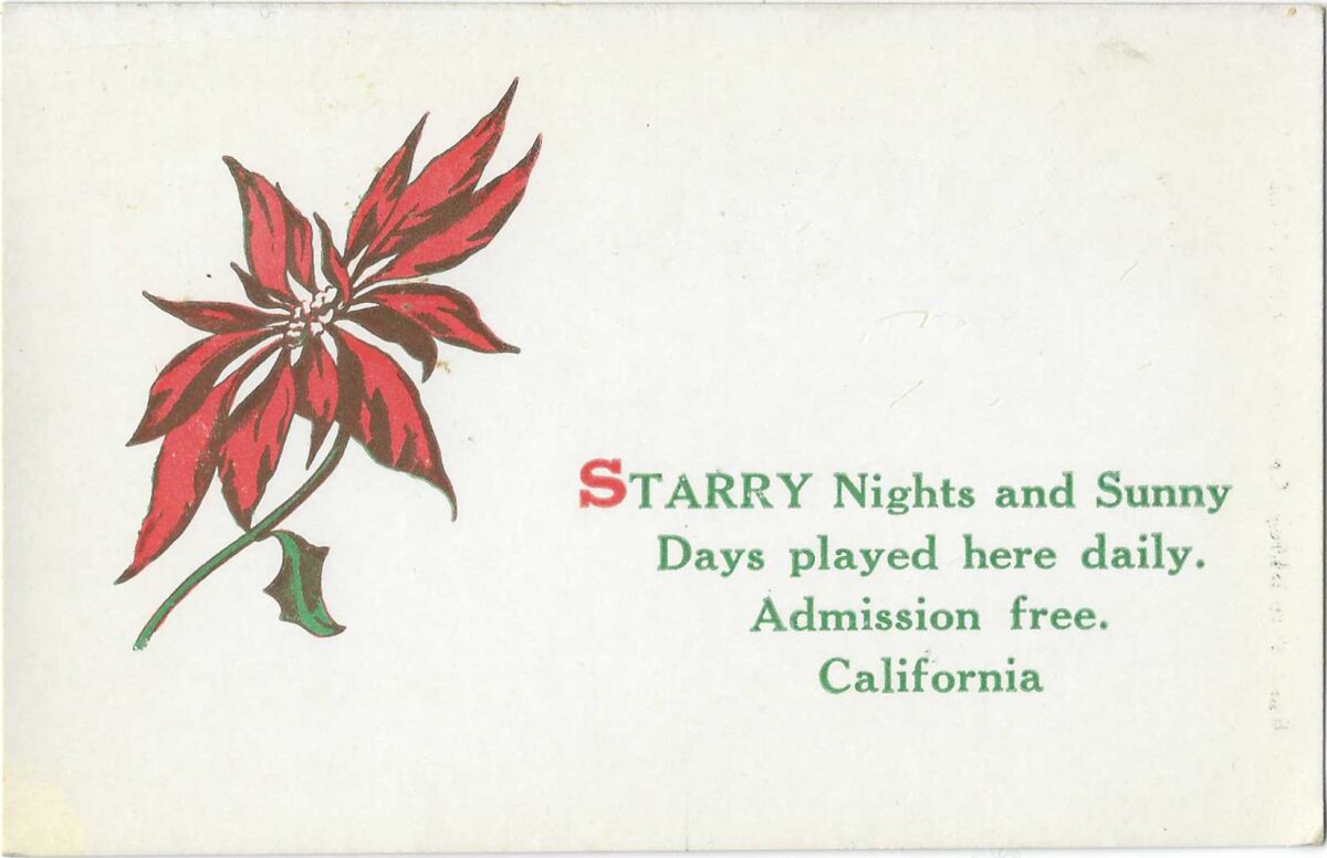 Postcard shows a poinsettia. Text: Starry Nights and Sunny Days played here daily. Admission free. California" 