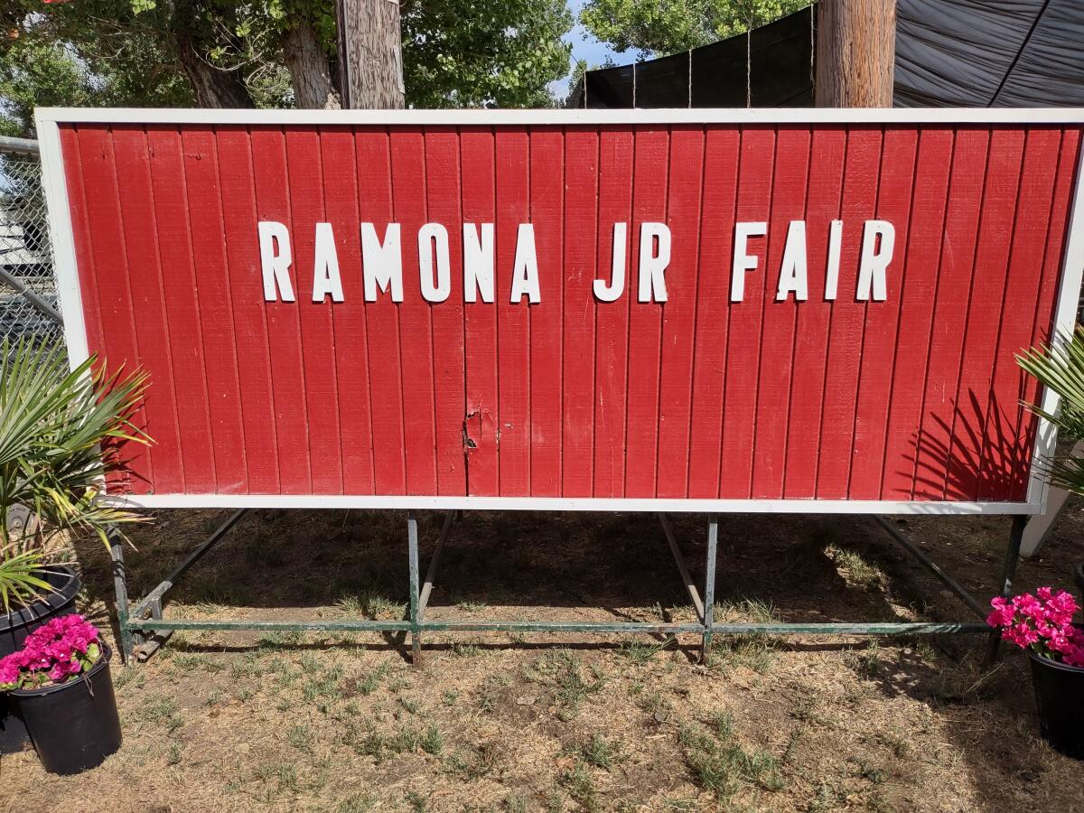 The livestock auction at the 2022 Ramona Junior Fair raised a record $359,257 for the exhibitors. 