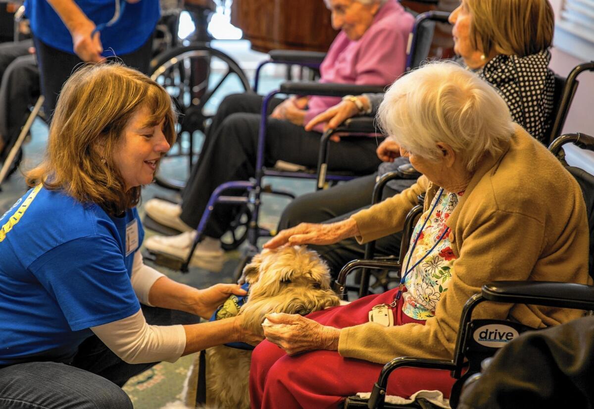 There were about 10 volunteer dogs and their owners at a recent visit to The Covington in Aliso Viejo.